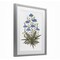 Stupell Industries Where Wild Flowers Bloom Framed Print Under Glass, design by Cecilia Battaini